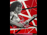‘EVH’