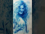'Robert Plant & Dove'