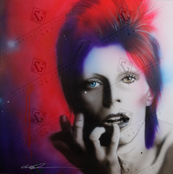 Ziggy Stardust'